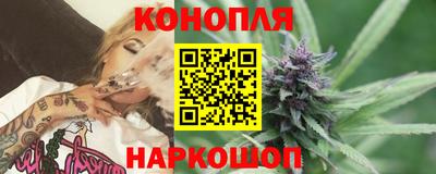 альфа пвп Новокубанск