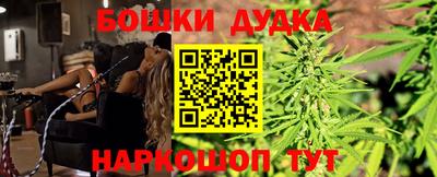 альфа пвп Новокубанск