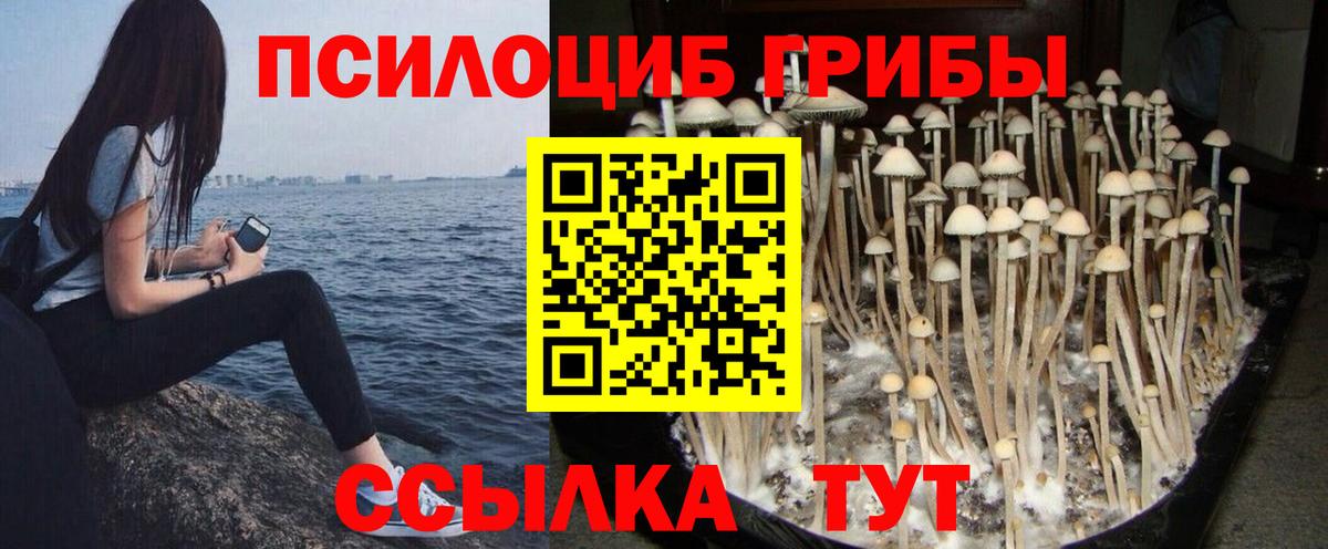 Псилоцибиновые грибы прущие грибы Анжеро-Судженск