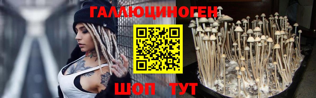Анжеро-Судженск  Галлюциногенные грибы GOLDEN TEACHER  Вход с VPN 